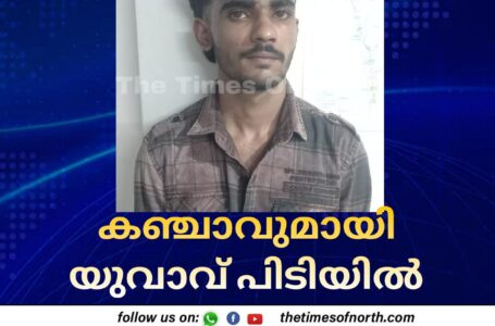 കഞ്ചാവുമായി യുവാവ് പിടിയിൽ