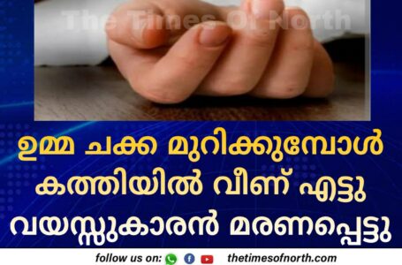 ഉമ്മ ചക്ക മുറിക്കുമ്പോൾ കത്തിയിൽ വീണ് എട്ടു വയസ്സുകാരൻ മരണപ്പെട്ടു